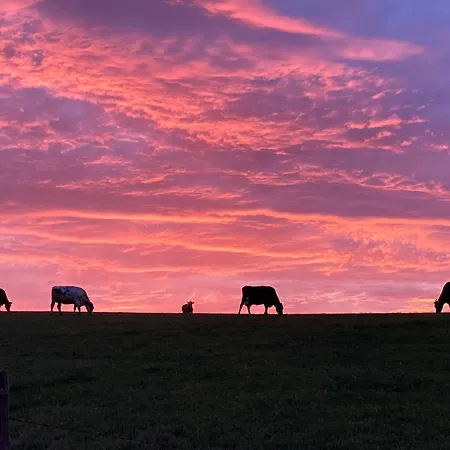 Holiday home Soetenicher Muehle