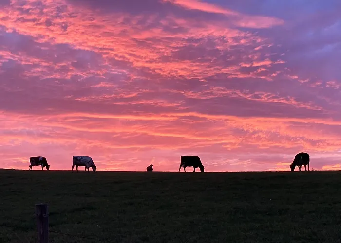 Prázdninový dům Soetenicher Muehle